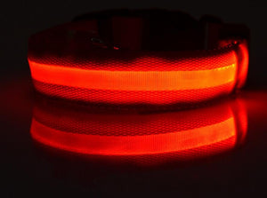 **FREE** ULTRA AWESOME PET LED COLLAR