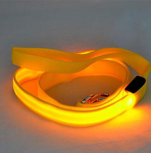 Ultra LED Glowing Pet Leash