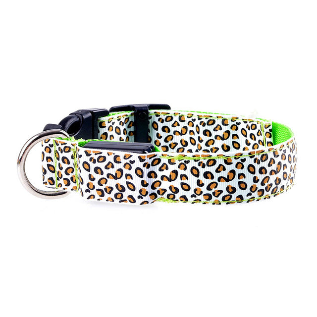 Jaguar Plated LED Pet Collar