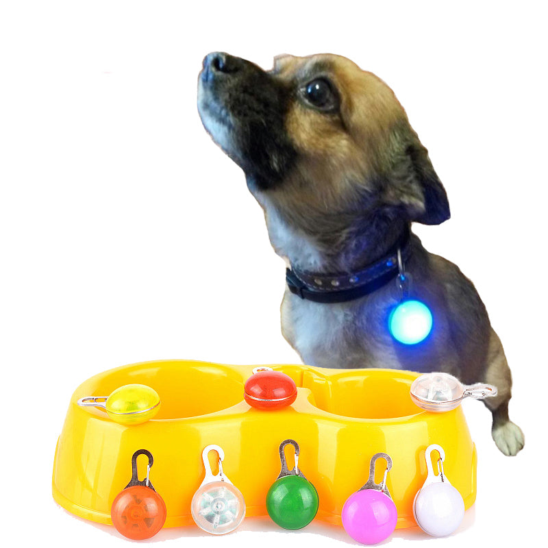 Pet Safety LED Pendant