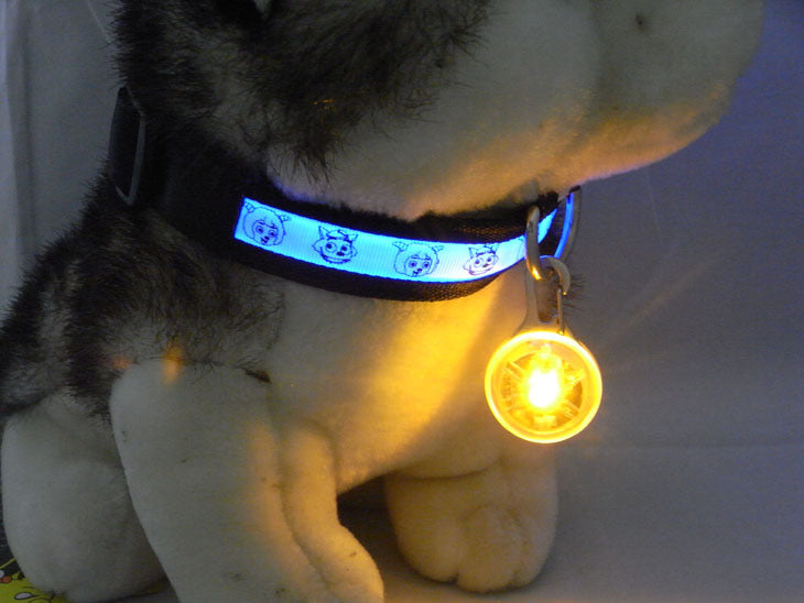 Pet Safety LED Pendant