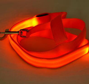 Ultra LED Glowing Pet Leash