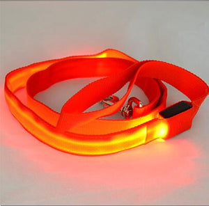 Ultra LED Glowing Pet Leash