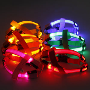 Super LED Pet Harnesses