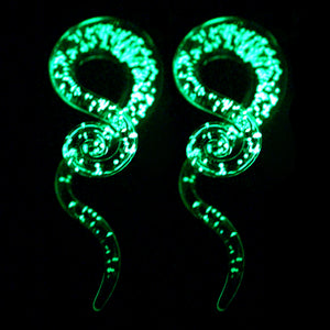 Glow in the Dark Taper Plugs Earrings