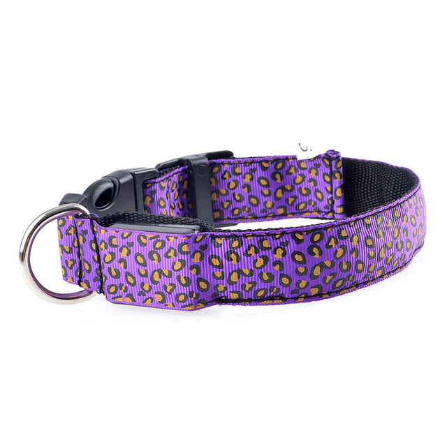 Jaguar Plated LED Pet Collar