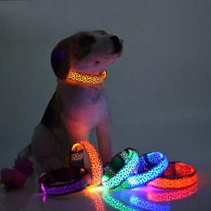 Jaguar Plated LED Pet Collar