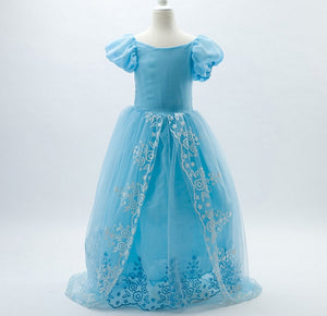 Disney Princess Costume Dresses