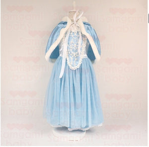 Disney Princess Costume Dresses