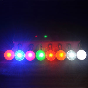 Pet Safety LED Pendant
