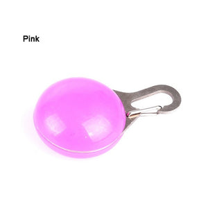 Pet Safety LED Pendant