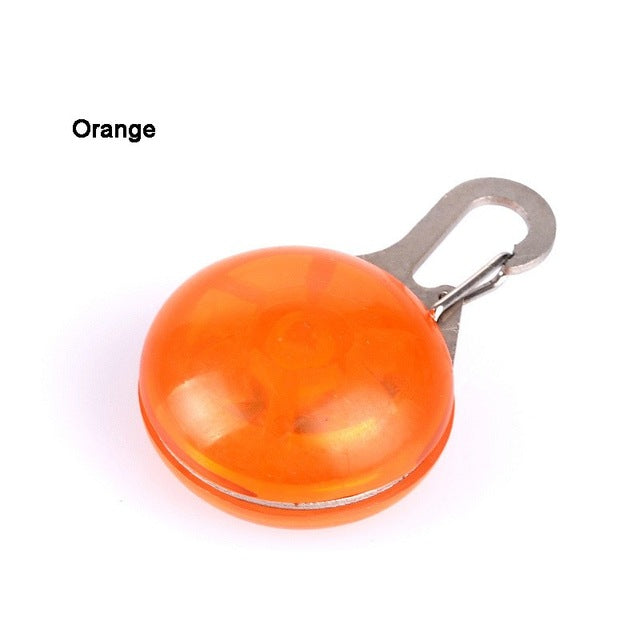 Pet Safety LED Pendant