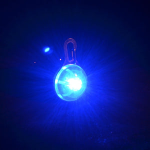 Pet Safety LED Pendant
